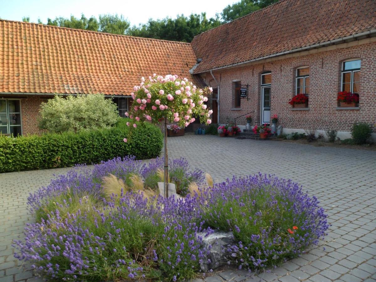 Gîte de la Noyelle Sainghin-en-Mélantois Exterior foto