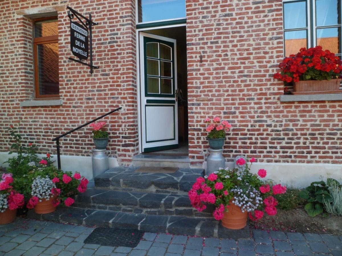Gîte de la Noyelle Sainghin-en-Mélantois Exterior foto
